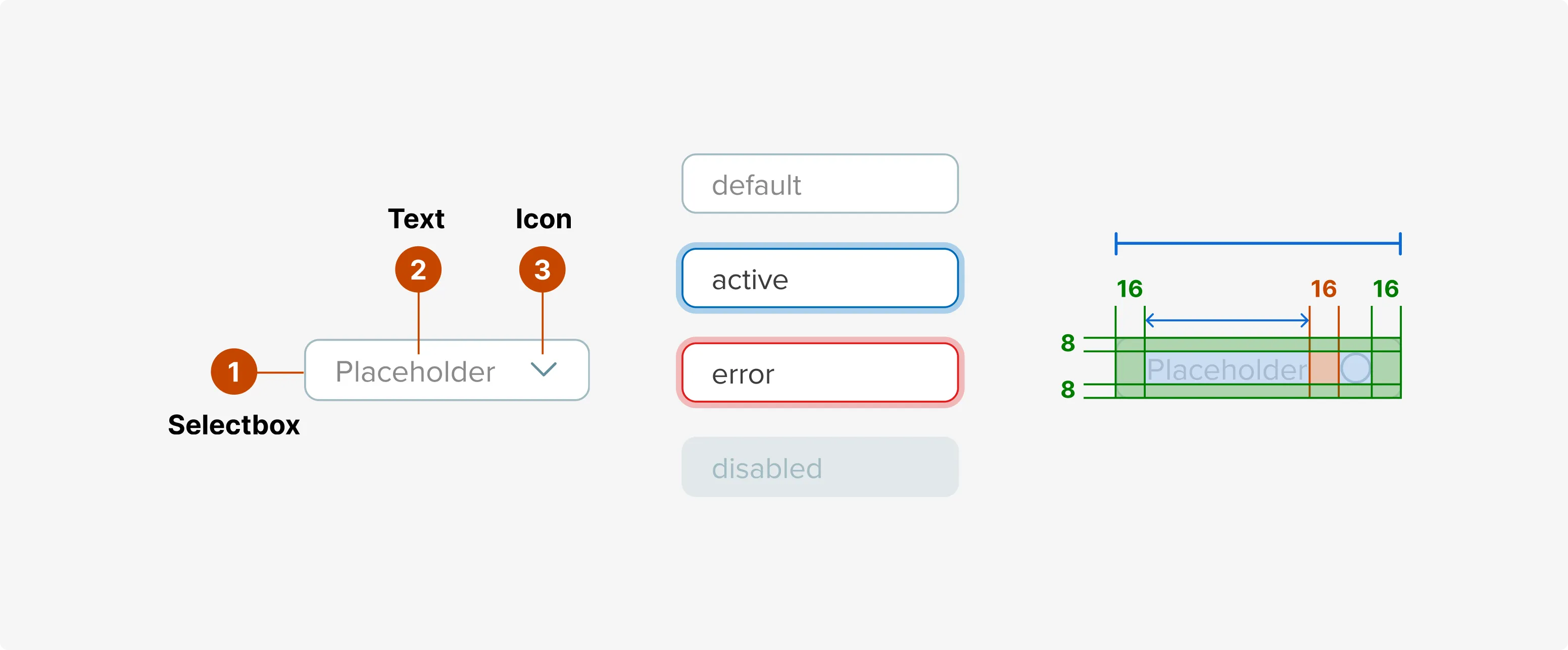 Showcase of input field component specimen