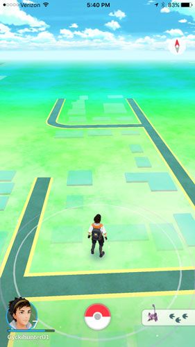 in-game screenshot of Tracking a Pokemon